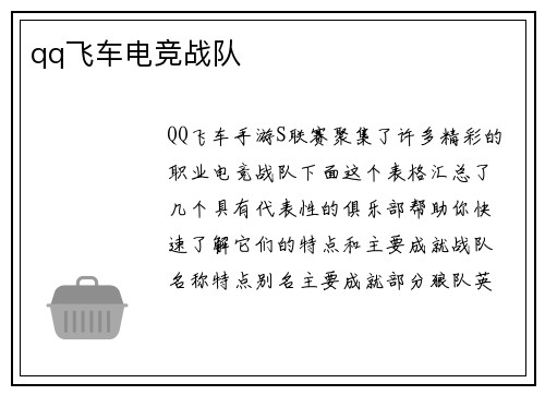 qq飞车电竞战队